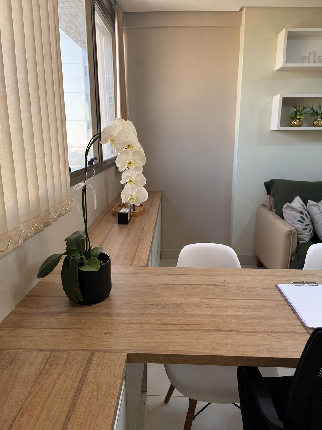 Orquídea branca na mesa de atendimento junto à janela.