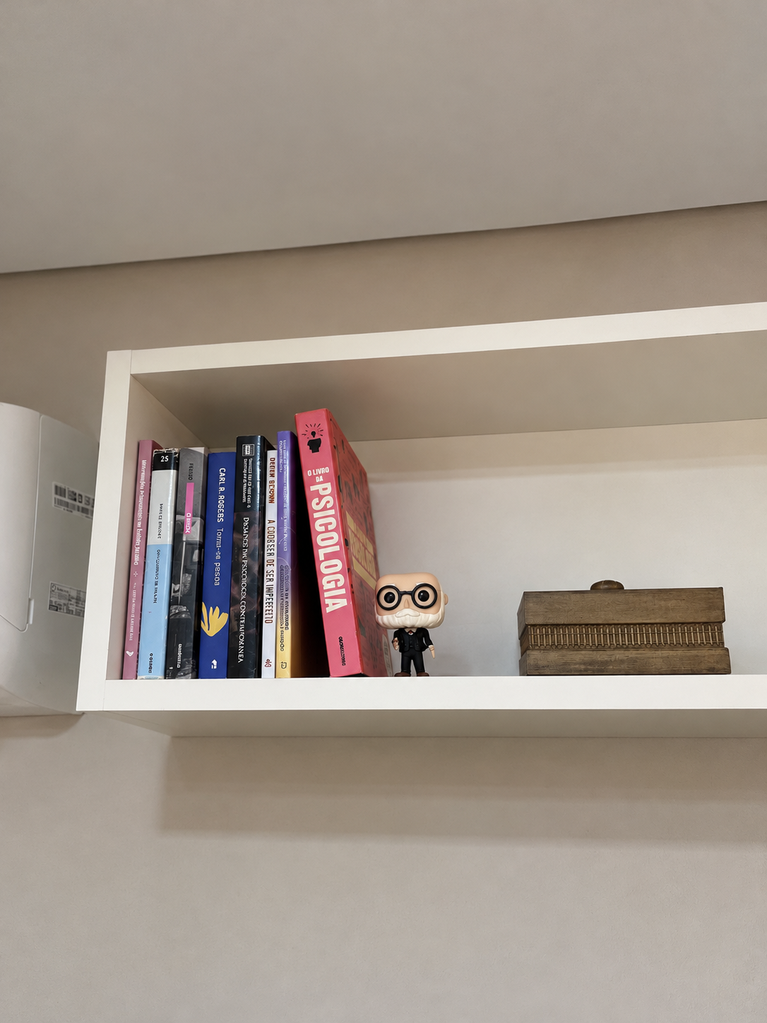 Prateleira com livros de Psicologia e objetos decorativos.